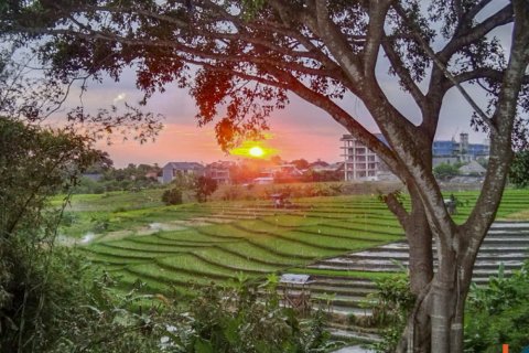 5 bedrooms Villa in Badung, Bali (11212) 5