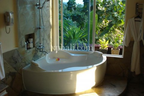 4 bedrooms Villa in Lovina, Anturan, Buleleng, Bali (6018) 2