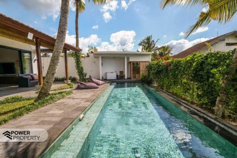 2 bedrooms Villa in Ubud, Gianyar, Bali (13804) 26