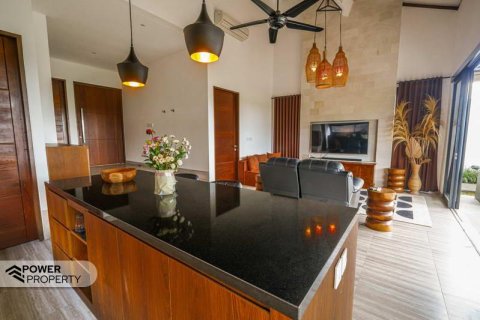 2 bedrooms Villa in Ubud, Gianyar, Bali (13804) 18