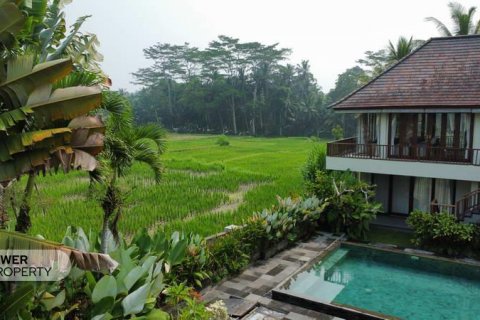 4 bedrooms Villa in Ubud, Gianyar, Bali (8486) 15