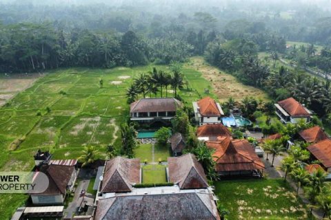 4 bedrooms Villa in Ubud, Gianyar, Bali (8486) 5