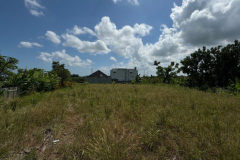 Land in Canggu, Badung, Bali (11885) 2