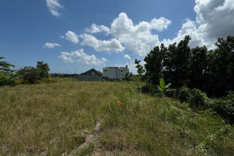 Land in Canggu, Badung, Bali (11885) 4