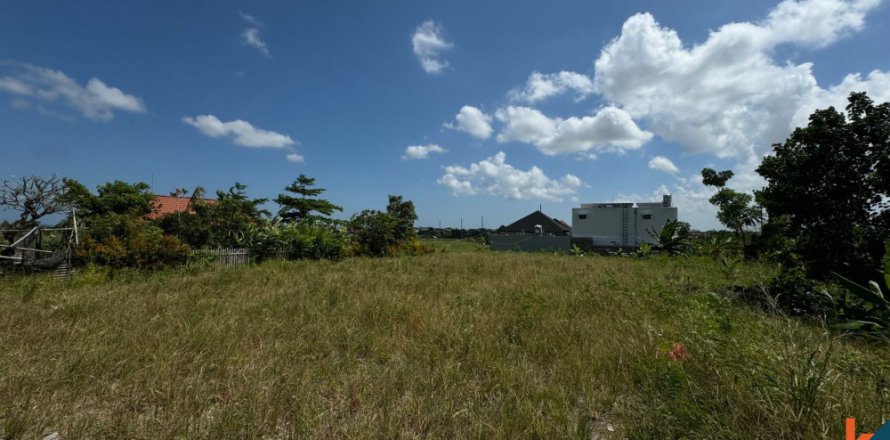 Land in Canggu, Badung, Bali (11885)