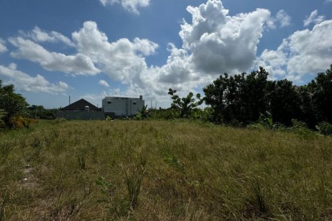 Land in Canggu, Badung, Bali (11885) 3