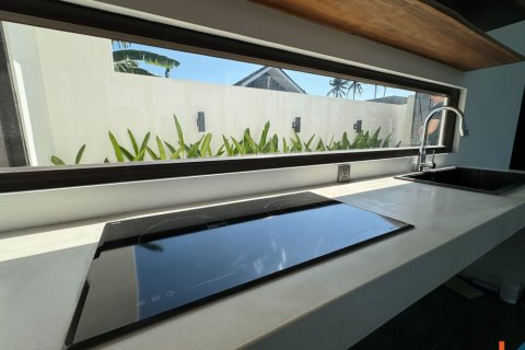 2 bedrooms Villa in Ubud, Gianyar, Bali (11889) 14