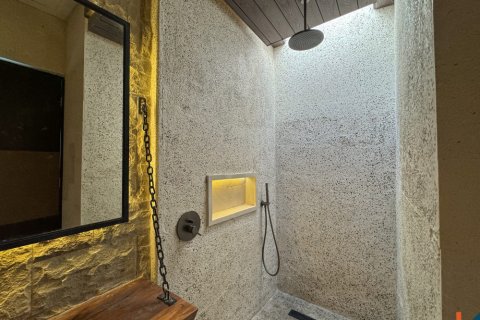 2 bedrooms Villa in Ubud, Gianyar, Bali (11889) 16