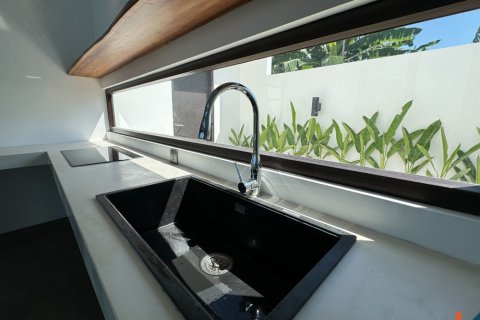 2 bedrooms Villa in Ubud, Gianyar, Bali (11889) 15