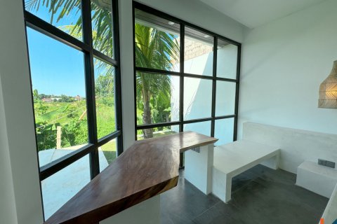 2 bedrooms Villa in Ubud, Gianyar, Bali (11888) 10