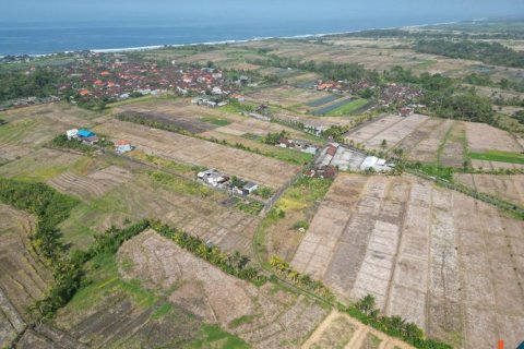 1900m2 Land in Tabanan, Bali (12042) 3