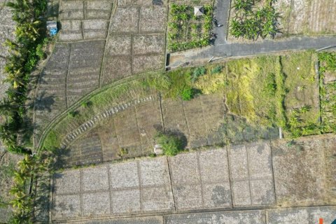 1900m2 Land in Tabanan, Bali (12042) 5
