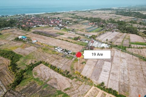 1900m2 Land in Tabanan, Bali (12042) 7