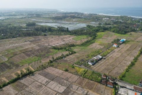 1900m2 Land in Tabanan, Bali (12042) 6