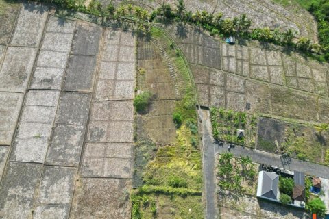 1900m2 Land in Tabanan, Bali (12042) 4