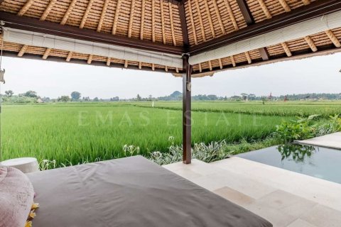 1 bedroom Villa in Gianyar, Bali (4769) 3