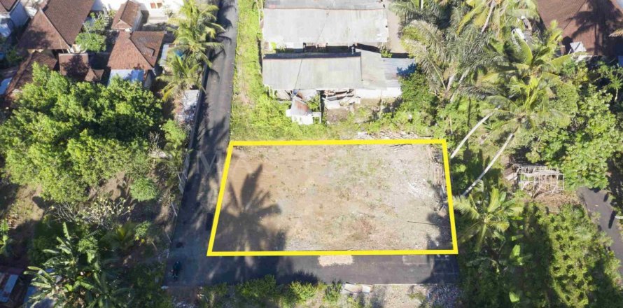 Land in Abiansemal, Badung, Bali (4774)