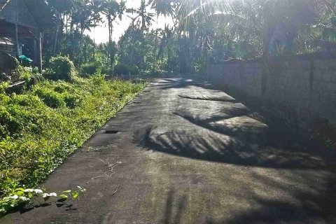 Land in Abiansemal, Badung, Bali (4774) 2
