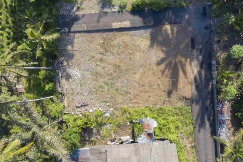 Land in Abiansemal, Badung, Bali (4774) 3