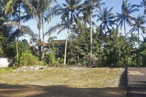 Land in Abiansemal, Badung, Bali (4774) 4