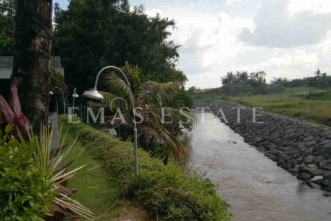 6 bedrooms Villa in Blahbatuh, Gianyar, Bali (4772) 7