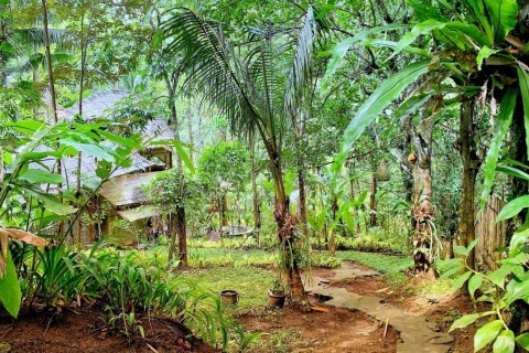 Vila 1 kamar tidur di Ubud, Gianyar, Bali (4770)