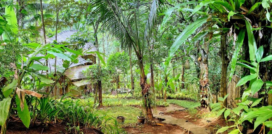 1 bedroom Villa in Ubud, Gianyar, Bali (4770)