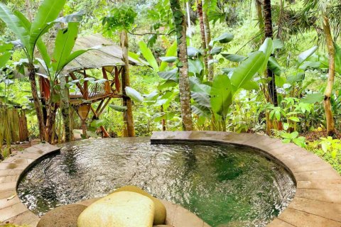1 bedroom Villa in Ubud, Gianyar, Bali (4770) 11