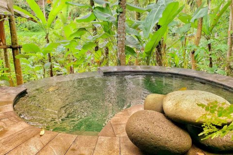 1 bedroom Villa in Ubud, Gianyar, Bali (4770) 10