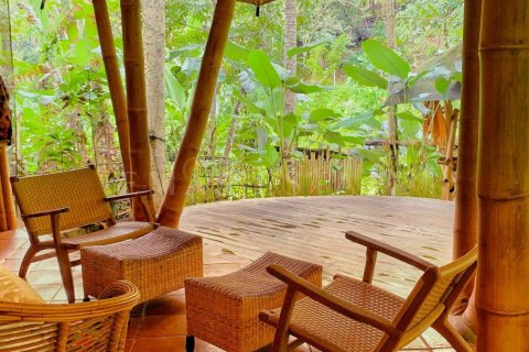 1 bedroom Villa in Ubud, Gianyar, Bali (4770) 4