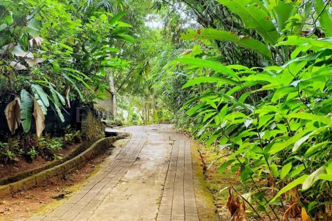 1 bedroom Villa in Ubud, Gianyar, Bali (4770) 13