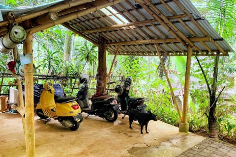 1 bedroom Villa in Ubud, Gianyar, Bali (4770) 14