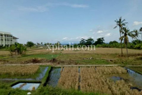 2221m2 Land in Gianyar, Bali (885) 4