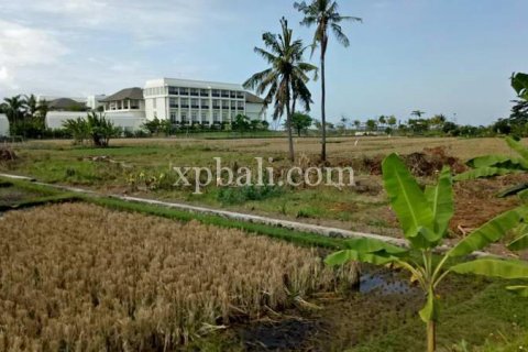 2221m2 Land in Gianyar, Bali (885) 2