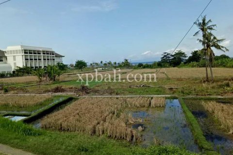 2221m2 Land in Gianyar, Bali (885) 3