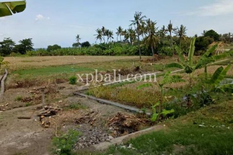 2221m2 Land in Gianyar, Bali (885) 5