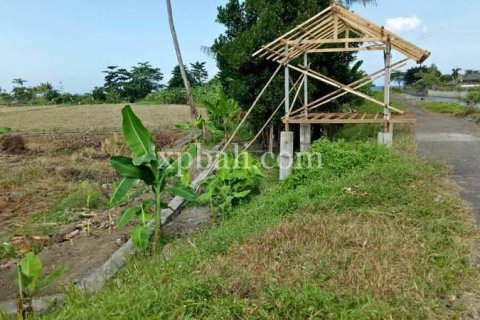 2221m2 Land in Gianyar, Bali (885) 8