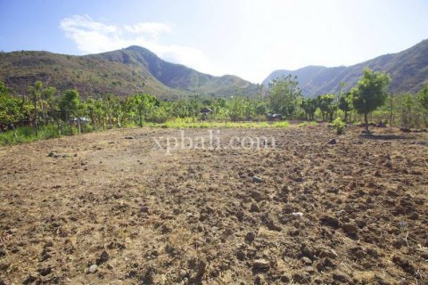 Tanah kavling 2770m2 di Karangasem, Karang Asem, Bali (886) 3