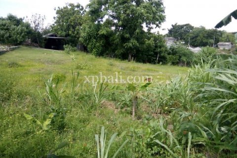1730m2 Land in Jimbaran, Badung, Bali (883) 3