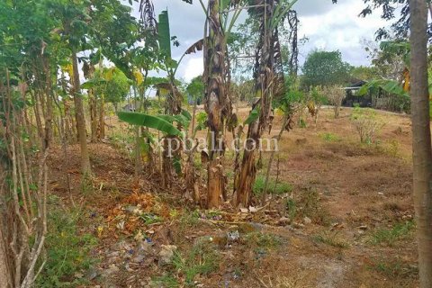 1730m2 Land in Jimbaran, Badung, Bali (883) 4