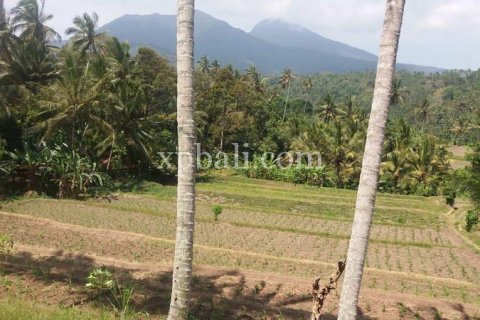2000m2 Land in Karangasem, Karang Asem, Bali (840) 4