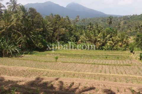 Tanah kavling 2000m2 di Karangasem, Karang Asem, Bali (840)