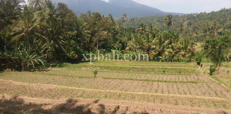 2000m2 Land in Karangasem, Karang Asem, Bali (840)