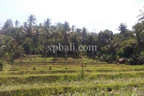2000m2 Land in Karangasem, Karang Asem, Bali (840) 5
