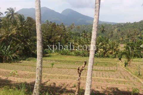 2000m2 Land in Karangasem, Karang Asem, Bali (840) 2