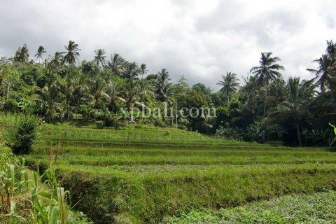 2000m2 Land in Karangasem, Karang Asem, Bali (840) 3
