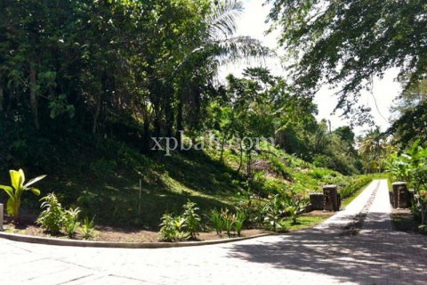 62440m2 Land in Negara, Jembrana, Bali (1060) 7