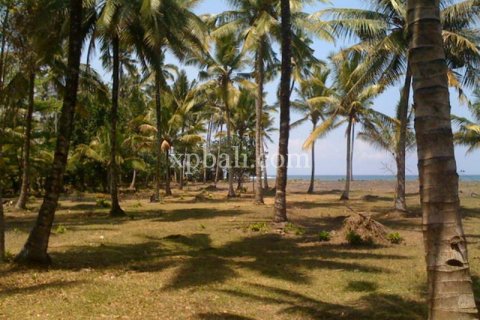 62440m2 Land in Negara, Jembrana, Bali (1060) 5