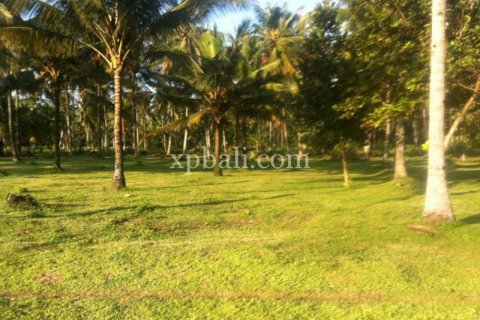 62440m2 Land in Negara, Jembrana, Bali (1060) 6
