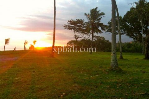62440m2 Land in Negara, Jembrana, Bali (1060) 2